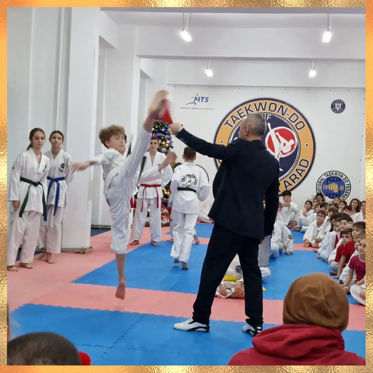 Abonament Taewkondo 1 Lună - Arad